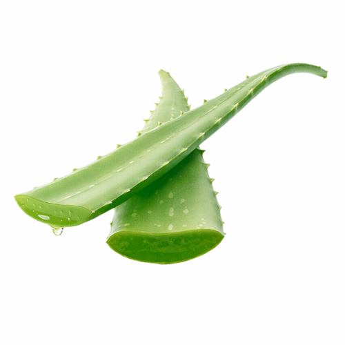 Aloe Vera Leaves 500g UAE